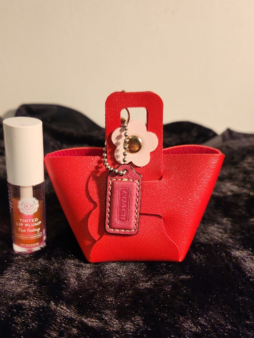 Coach Mini Hang Tag & Unbranded Mini Bag Keychain